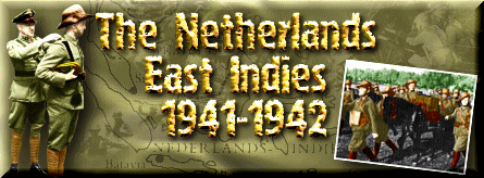 The Dutch East Indies Campaign 1941-1942